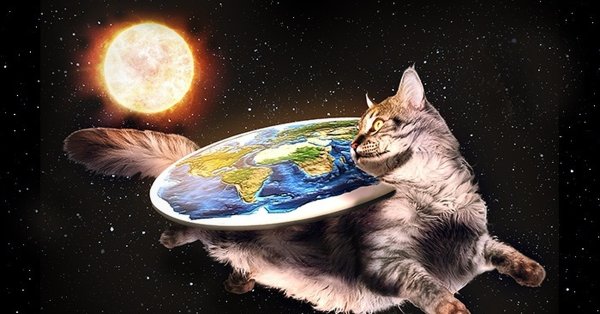 Кот в земле