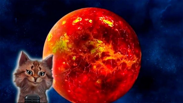 Коты с планеты земля