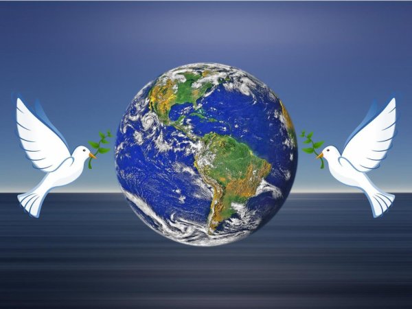 Голубь и земной шар