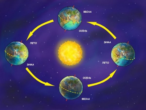 Времена года на стене