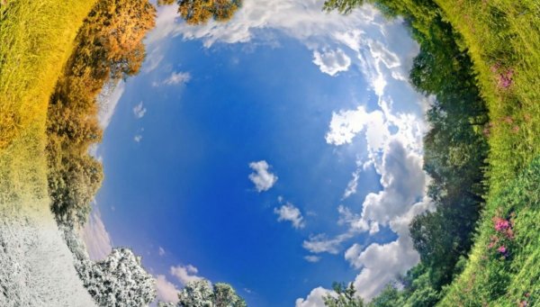 Круг в природе