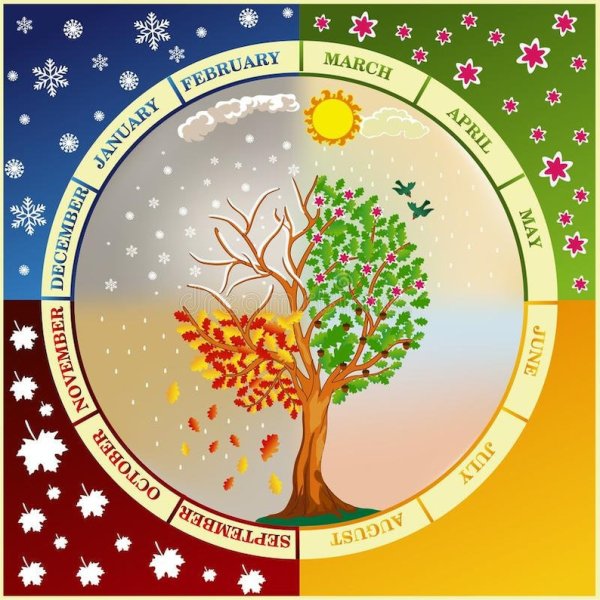 12 Месяцев в году