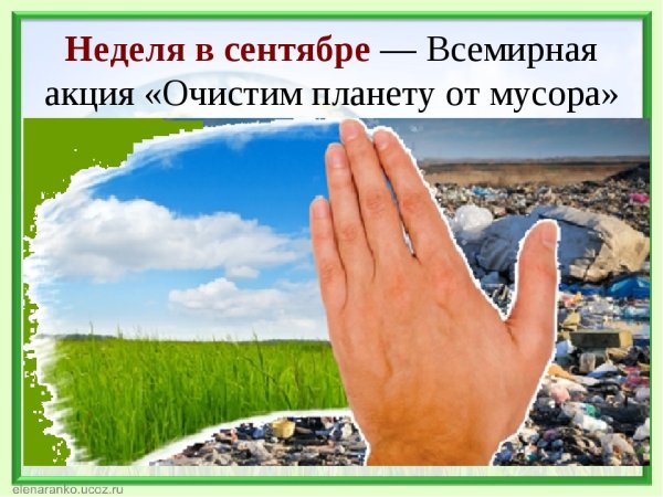 Чистая природа без мусора