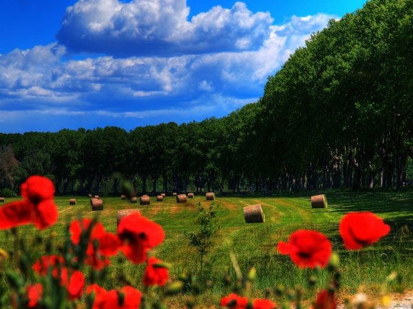 Красивая природа на земле