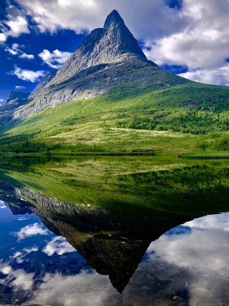 Удивительная природа