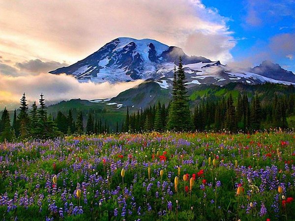 Красивая природа на земле