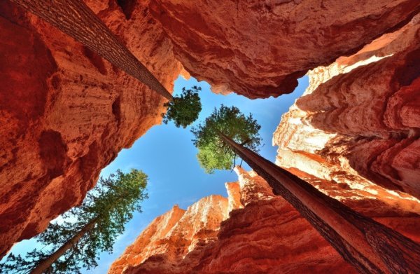 Брайс каньон мост