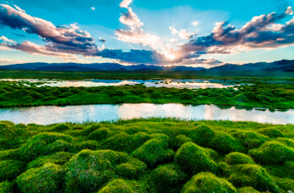 Природа земли