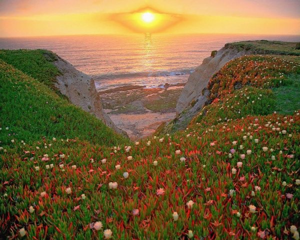 Земная красота