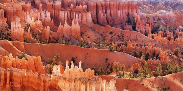 Удивительные кадры природы