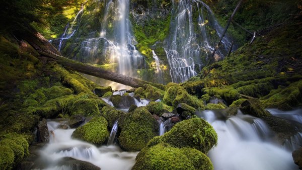 Красота нашей природы