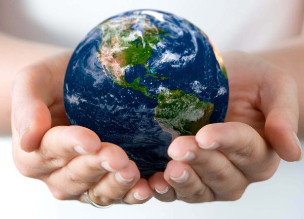 Мир экологии