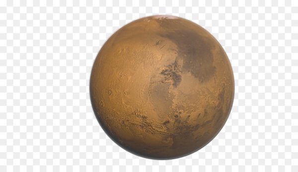 Венера на белом фоне