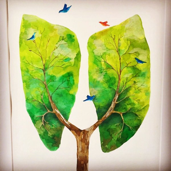 Деревья легкие планеты