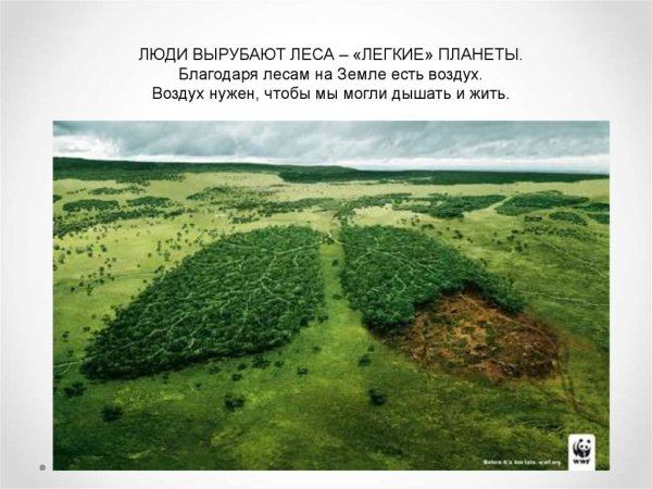 Легкие планеты