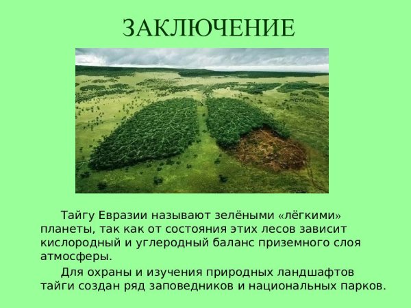 Охрана природы тайги