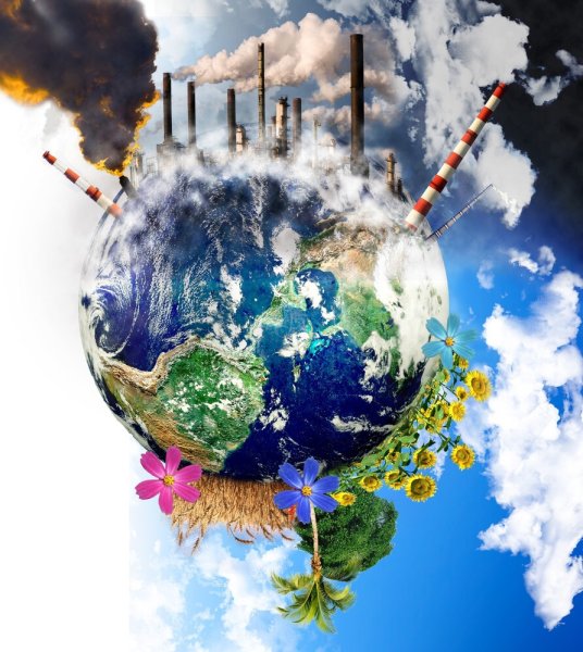 Глобальная экология