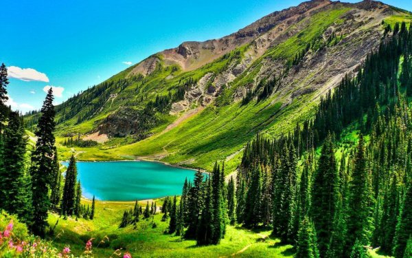 Природа земли