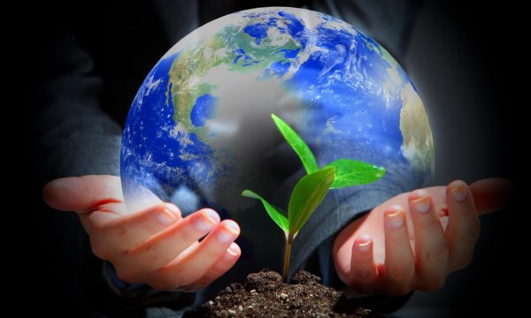 Земля в руках