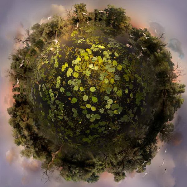 Кэтрин Нельсон