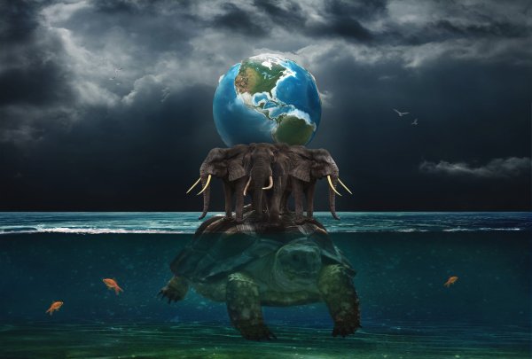 Черепаха три слона плоская земля