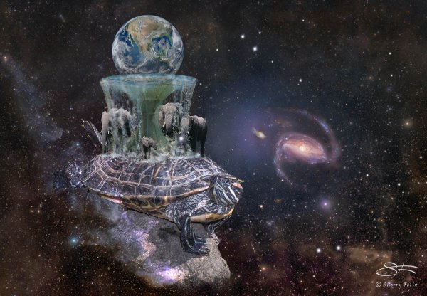 Черепаха Матурин земля