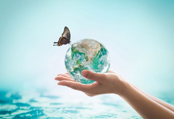 Чистота окружающей среды