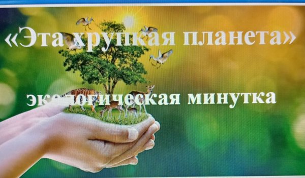 Хрупкая Планета земля