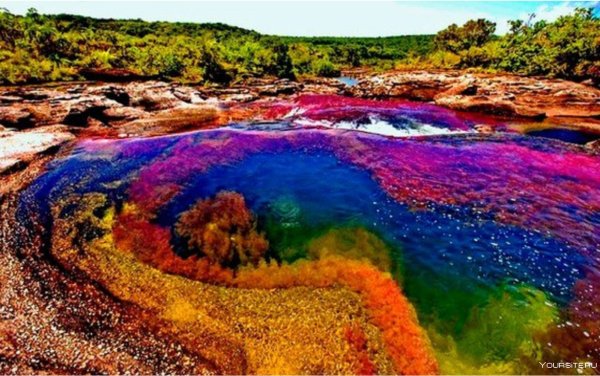 Каньо-Кристалес Колумбия