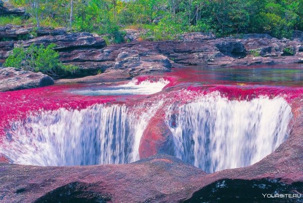 Каньо Кристалес река пяти цветов в Колумбии