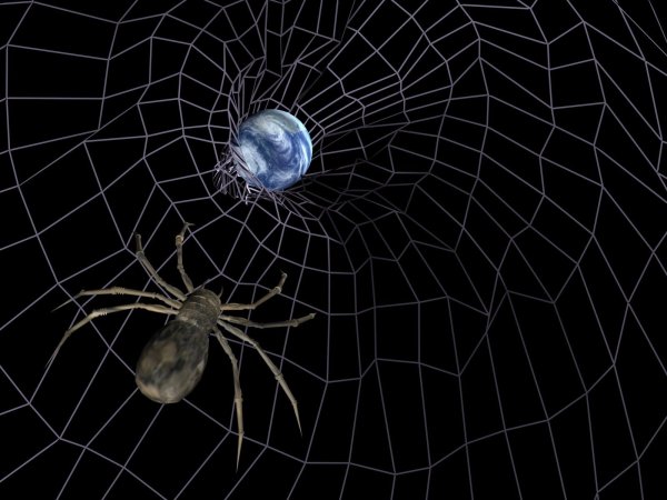 Паук на паутине