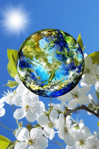 Цветущая Планета земля