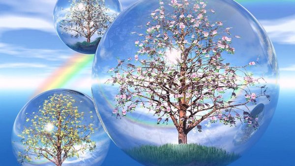 Изображение дерева в шаре