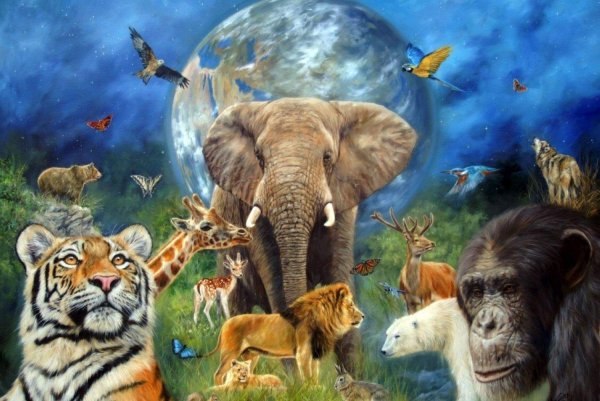 Планета животных