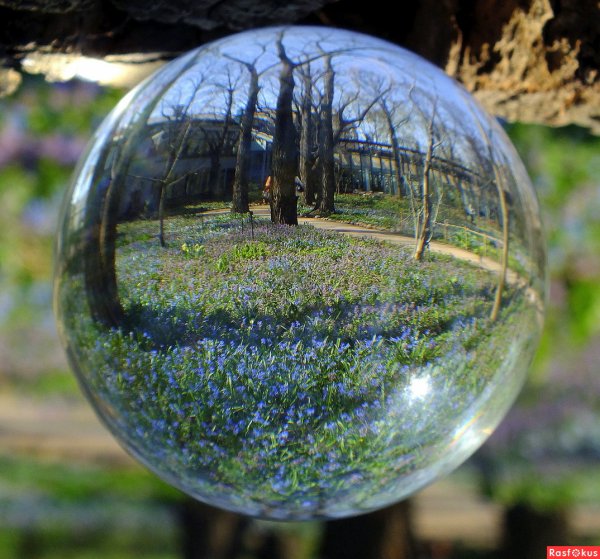 Весна в шаре