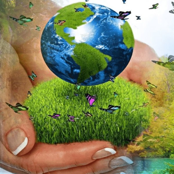 Человек защищает природу