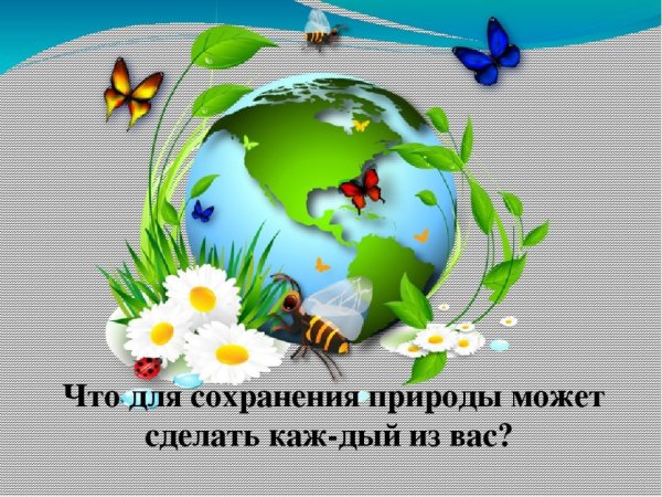Экология береги природу