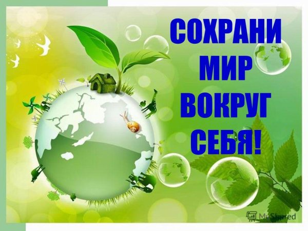 Экологические лозунги