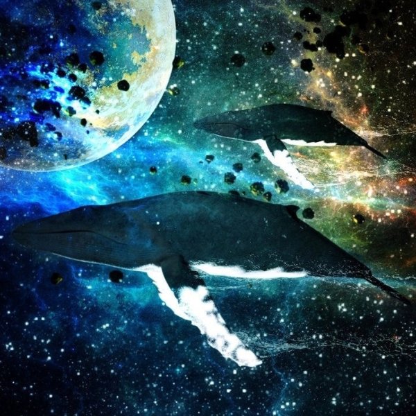 Киты в космосе