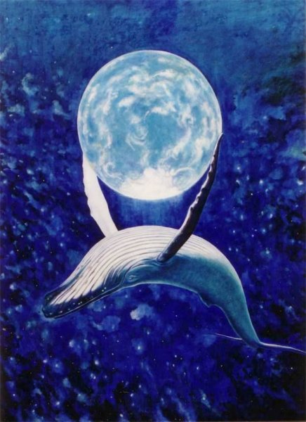 Кит и Луна