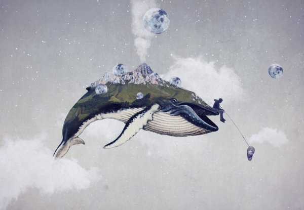 Кит сюрреализм