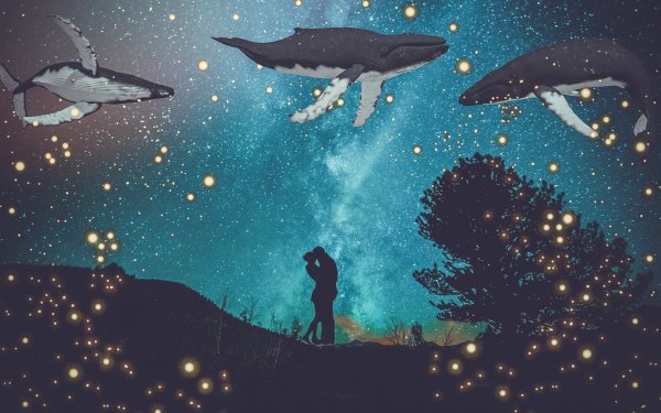 Летающий кит