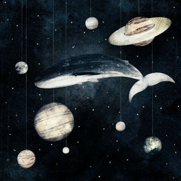 Кит и звезды