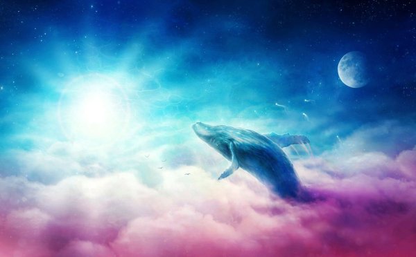 Киты в небе космос