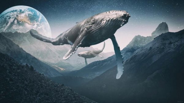 Летающий кит в небе