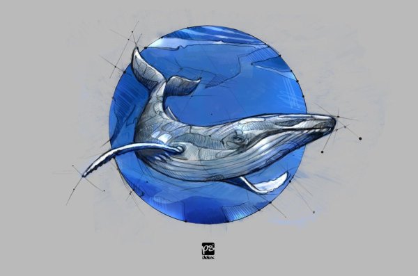 Синий кит зарисовка