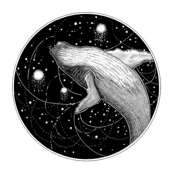 Кит в космосе Графика