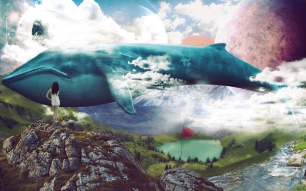 Кит в воздухе