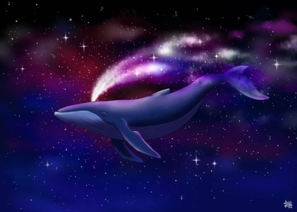 Кит в Звездном небе