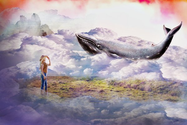 Киты фэнтези